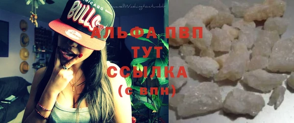 гашик Михайловск