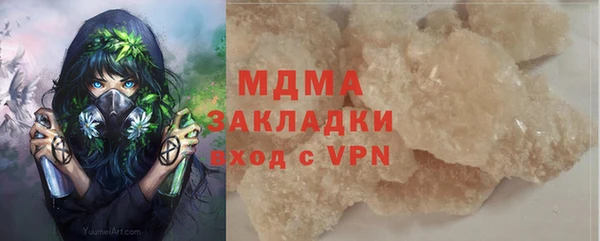 шишки Мегион