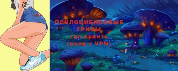 гашик Михайловск