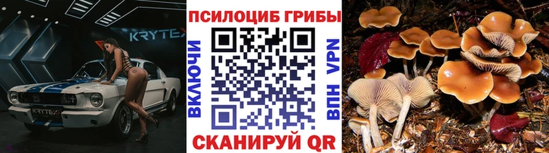 Галлюциногенные грибы ЛСД  Артём 